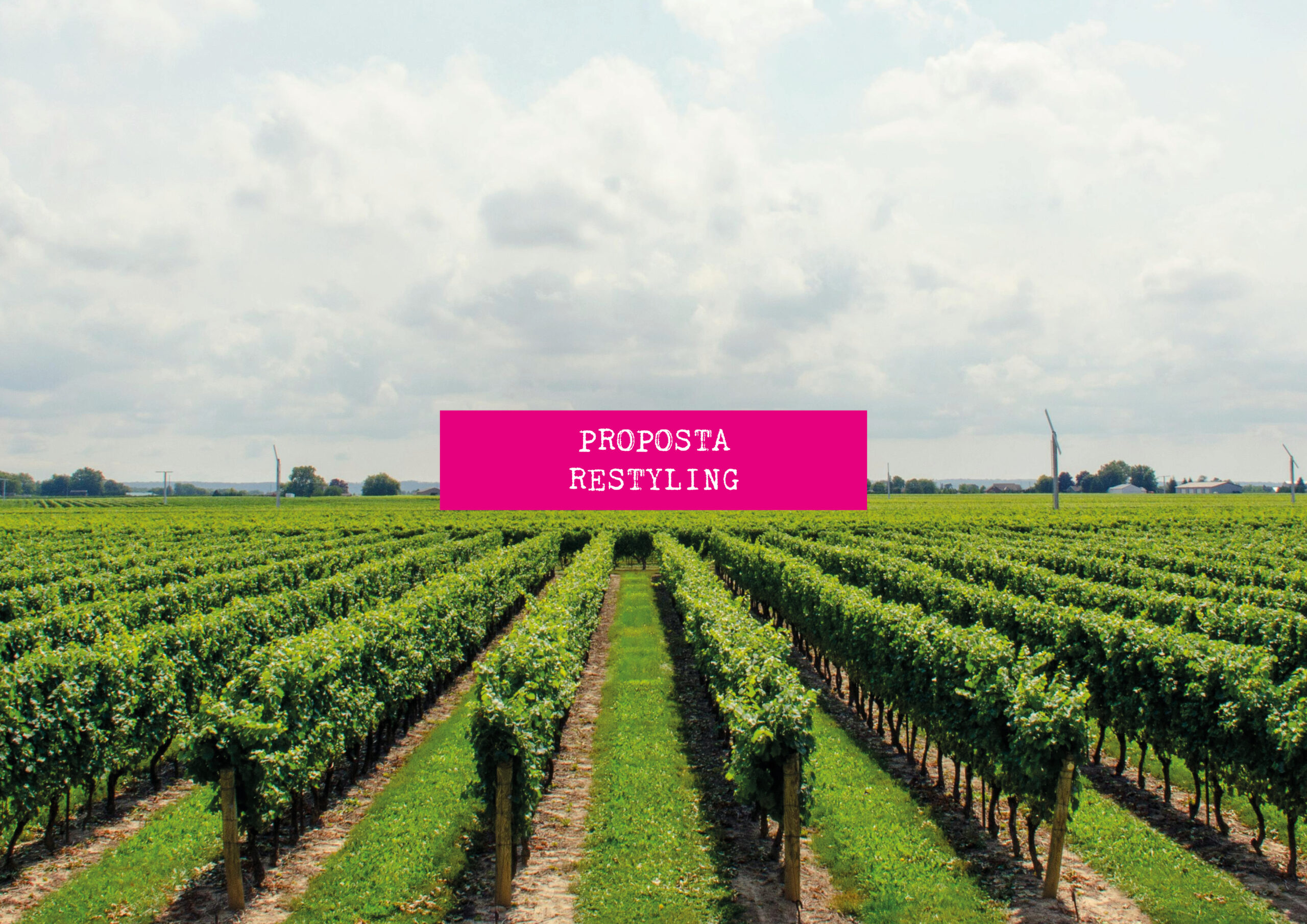 Copertina proposta restyling e-commerce Tenute Goccianello